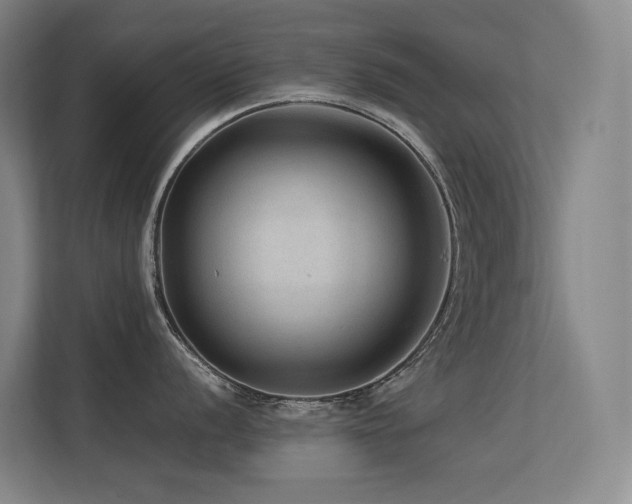 X0000113241056200909101404