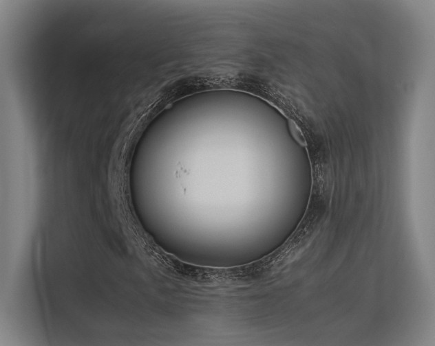 X0000113241057200909101404