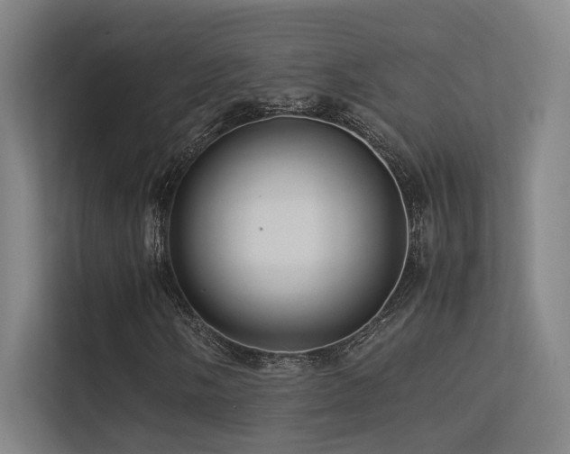 X0000113241058200909101404