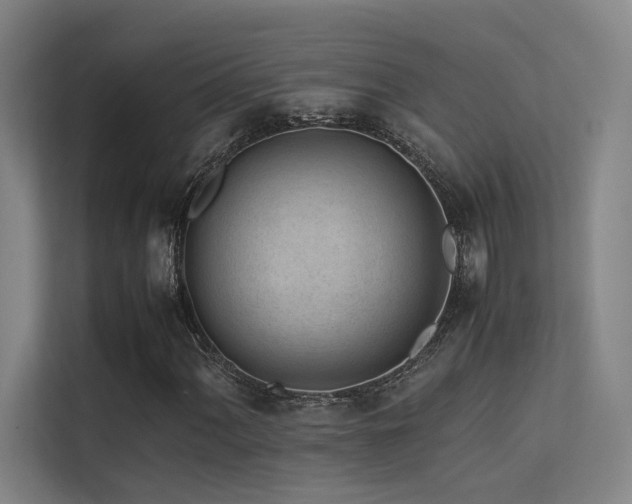 X0000113241060200909101404