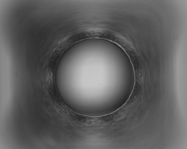 X0000113241061200909101404