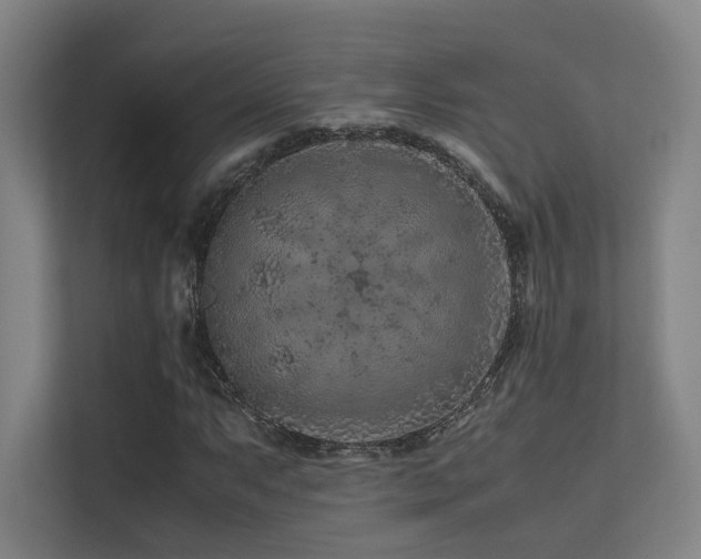 X0000113241063200909101404