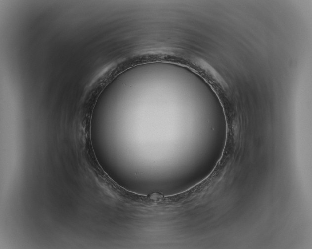 X0000113241064200909101404