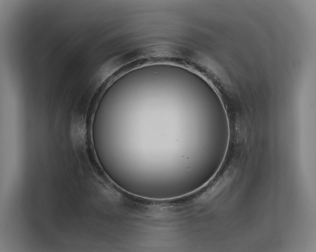 X0000113241065200909101404