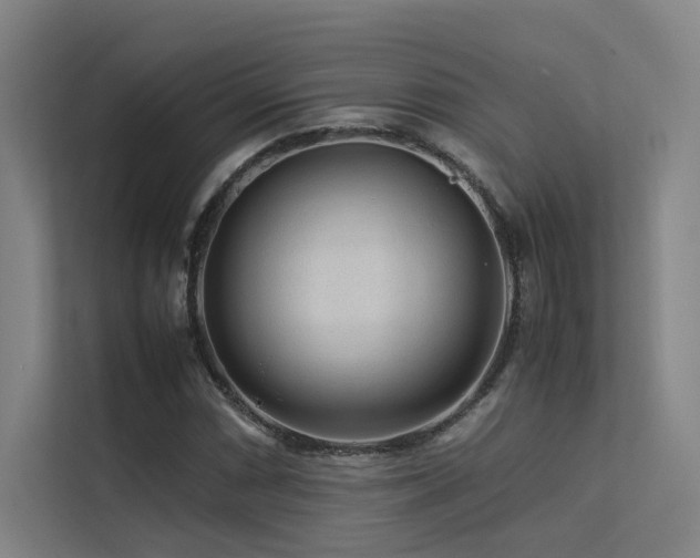 X0000113241066200909101404