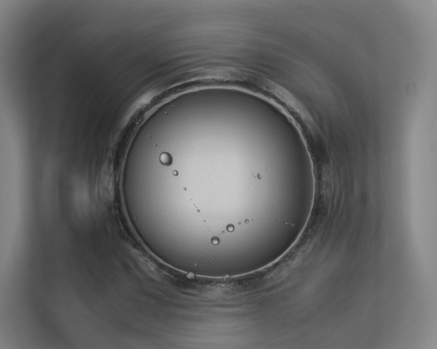 X0000113241067200909101404