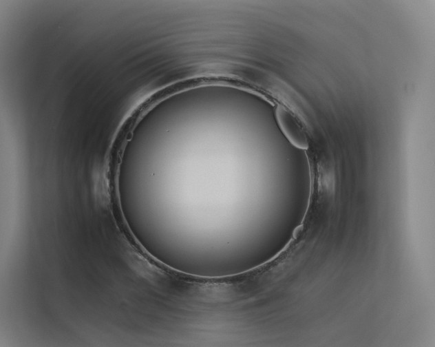 X0000113241068200909101404