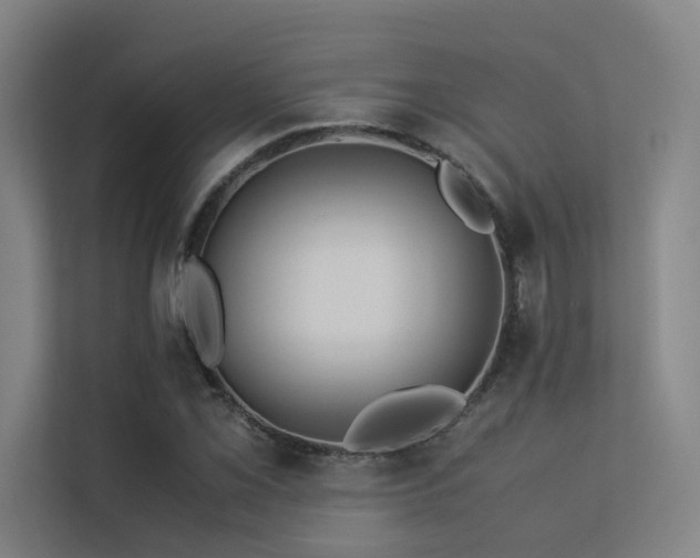 X0000113241069200909101404