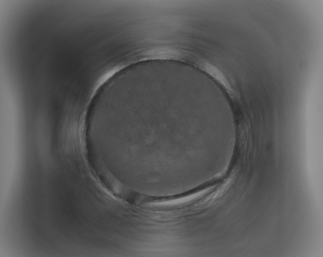 X0000113241071200909101404