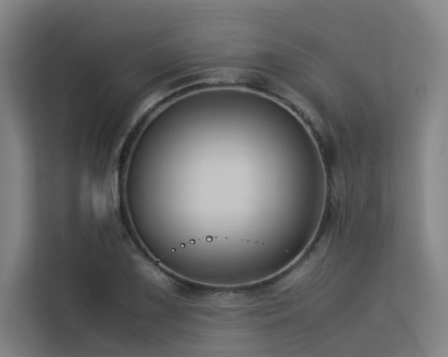 X0000113241075200909101403