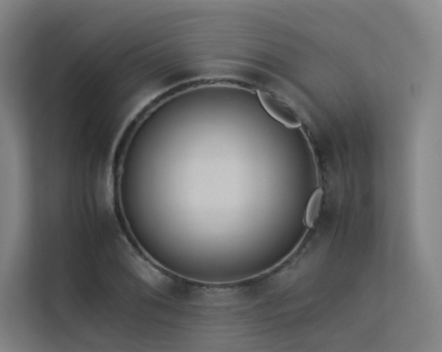 X0000113241076200909101403