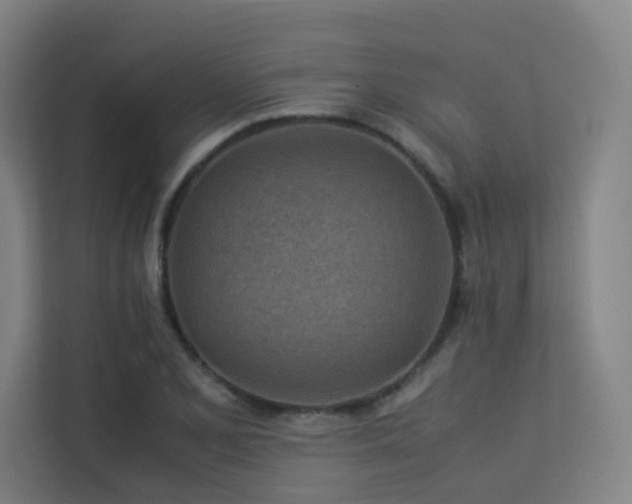 X0000113241077200909101403