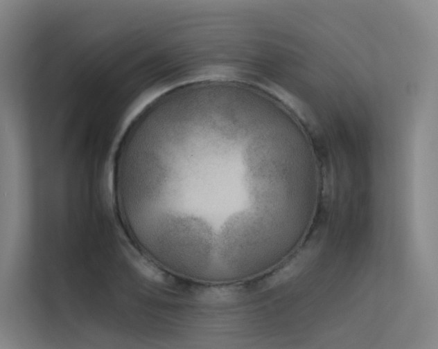 X0000113241078200909101403