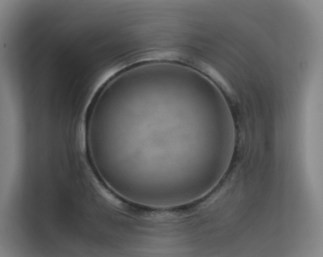 X0000113241079200909101403