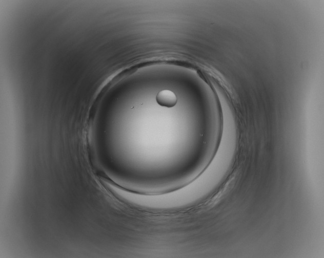 X0000113241081200909101403