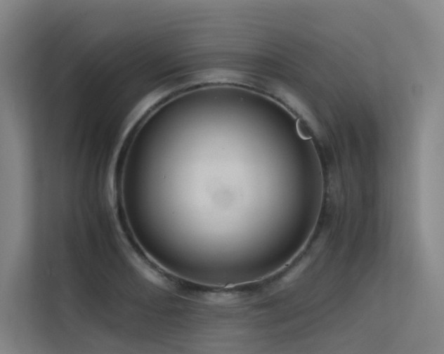 X0000113241082200909101403