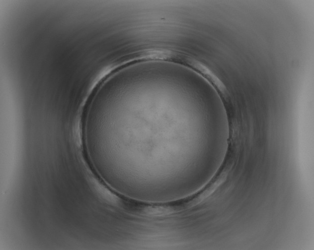 X0000113241083200909101403