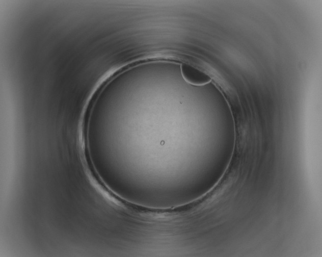 X0000113241084200909101403