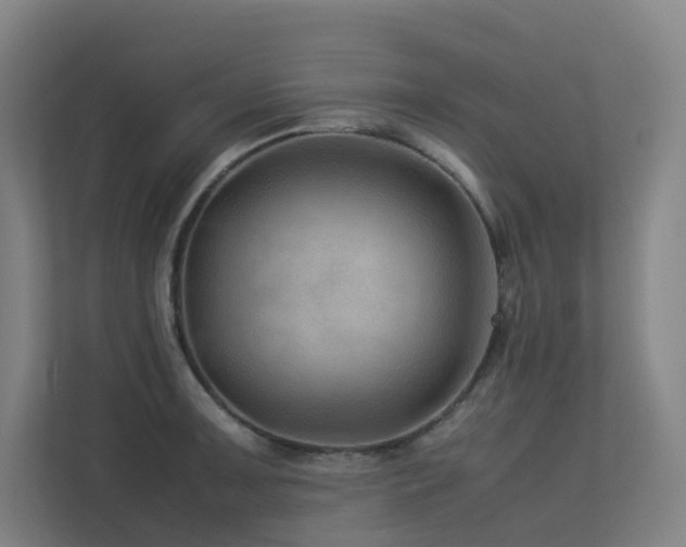 X0000113241091200909101403