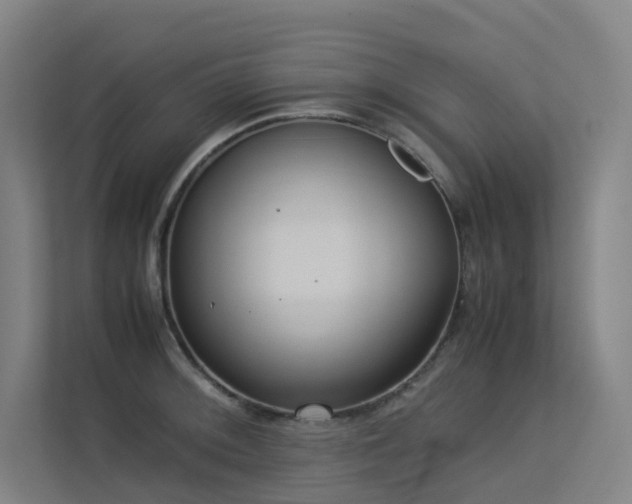 X0000113241092200909101403