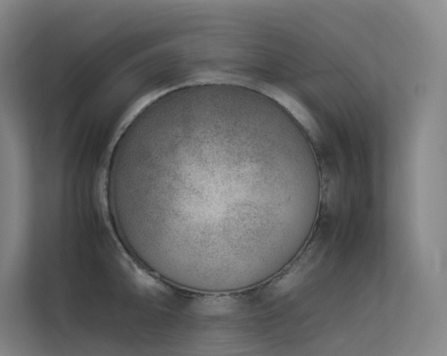 X0000113241094200909101403