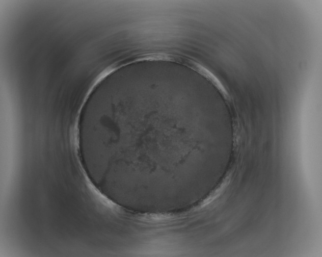 X0000113241095200909101403