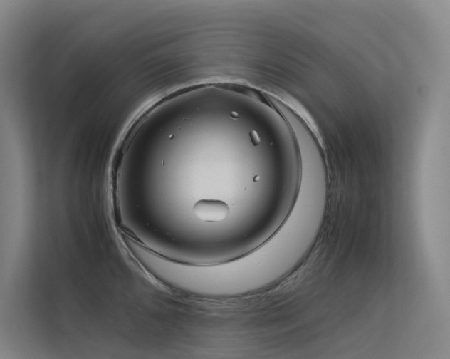 X0000113241096200909101403