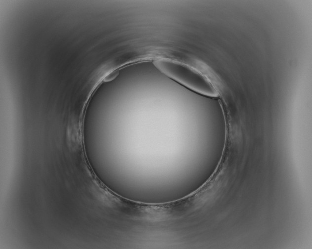 X0000113241097200909101403