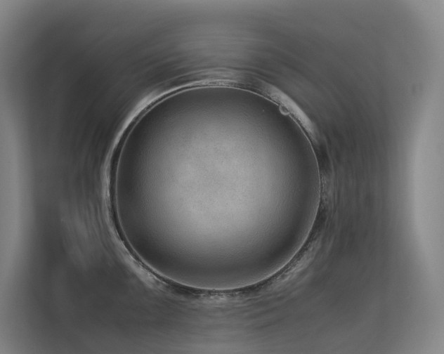 X0000113241099200909101403