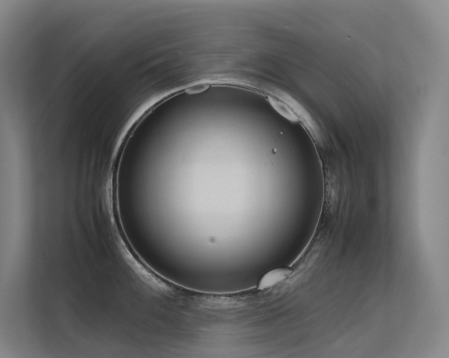 X0000113241100200909101403