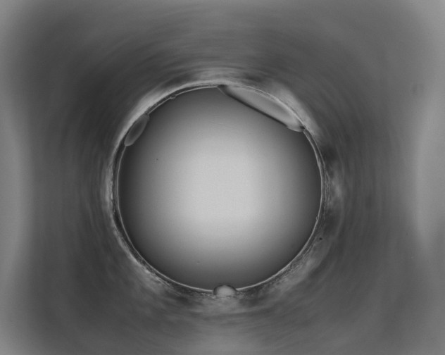 X0000113241101200909101403