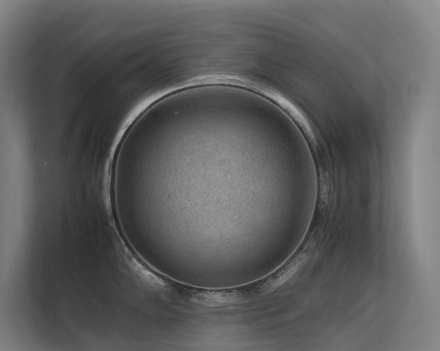 X0000113241102200909101403