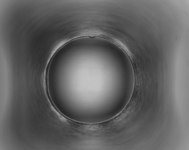 X0000113241103200909101403