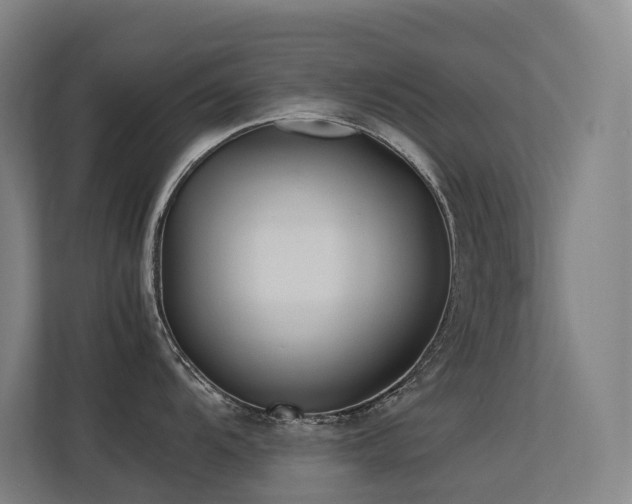 X0000113241104200909101403