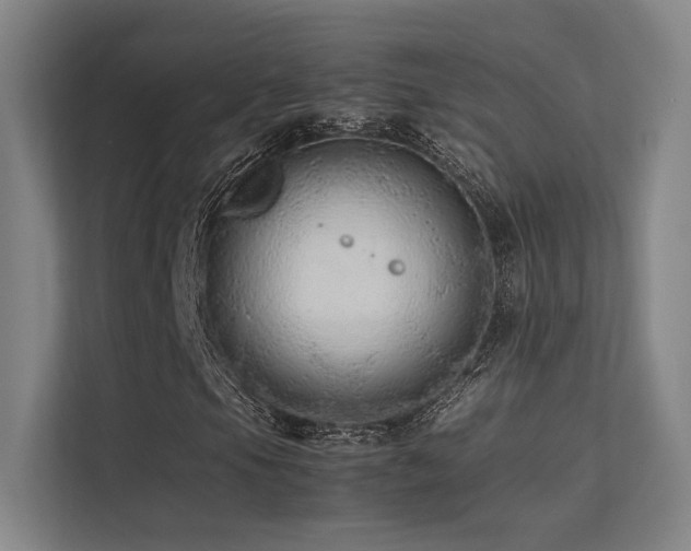 X0000113241105200909101402