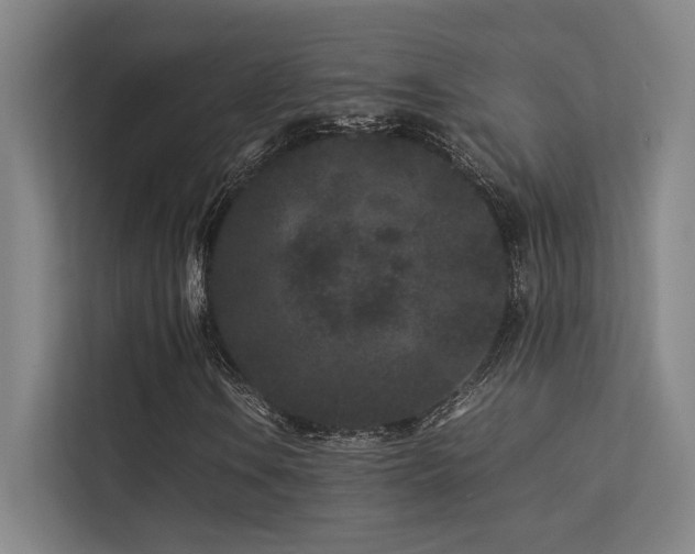 X0000113241106200909101402