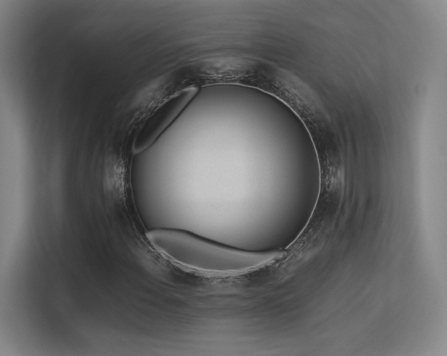 X0000113241108200909101402