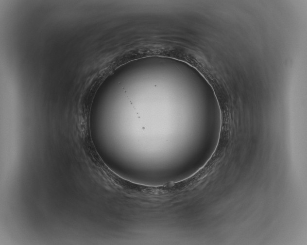 X0000113241109200909101402