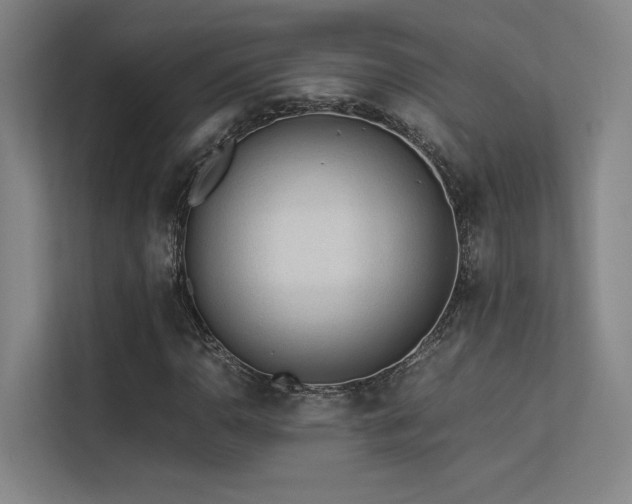 X0000113241110200909101403