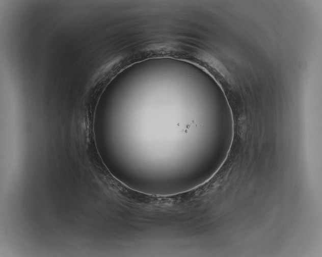 X0000113241111200909101403