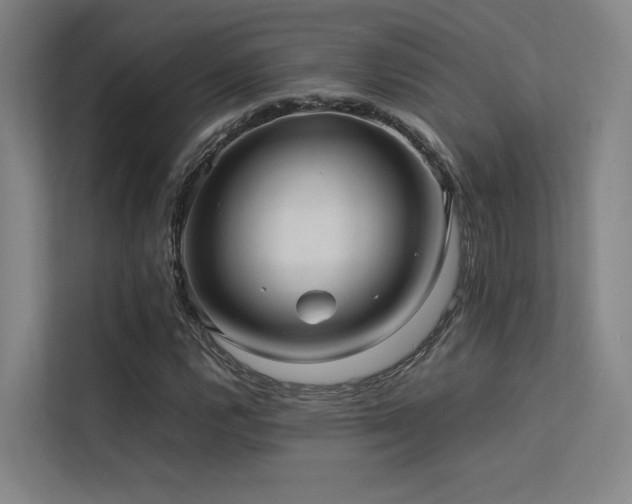 X0000113241112200909101403