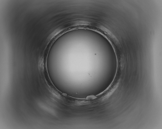 X0000113241113200909101403