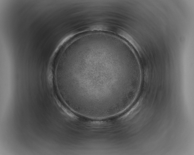 X0000113241115200909101403