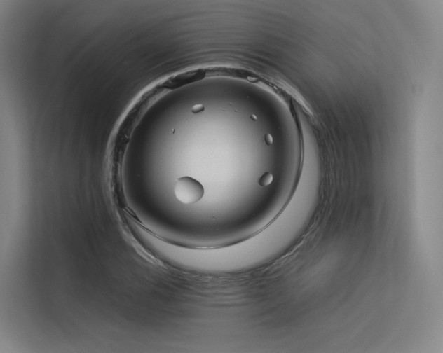 X0000113241116200909101403