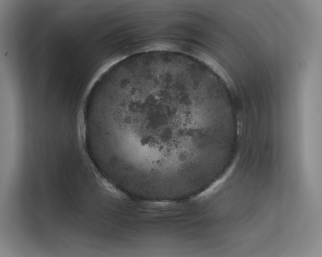 X0000113241117200909101403