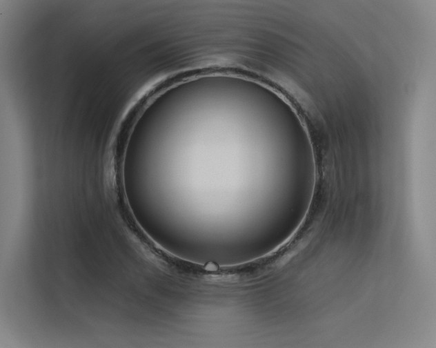 X0000113241118200909101403