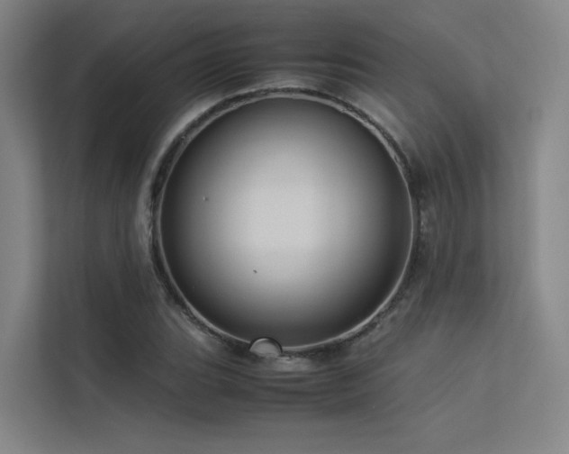 X0000113241119200909101403