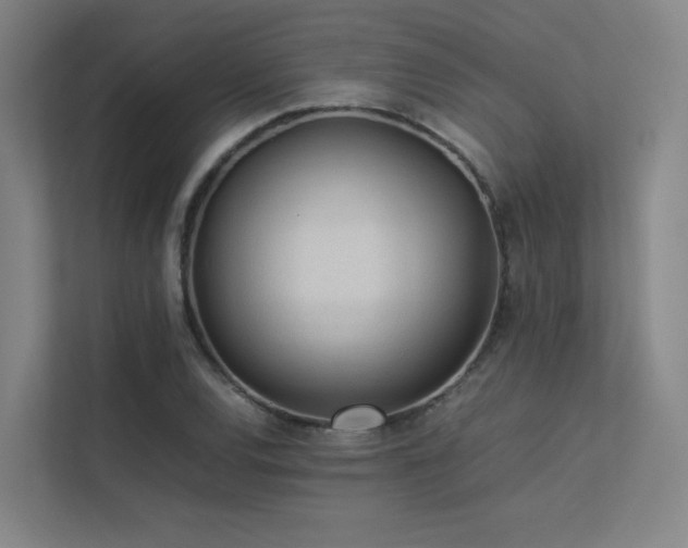 X0000113241120200909101403