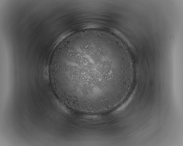 X0000113241121200909101403