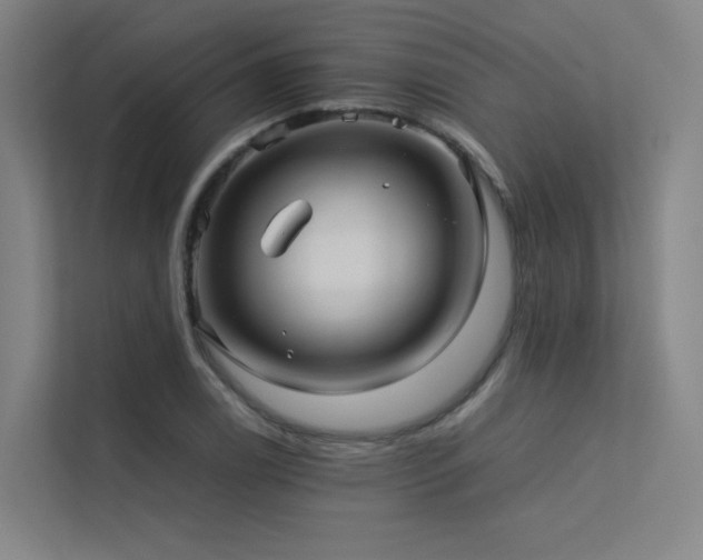 X0000113241122200909101403